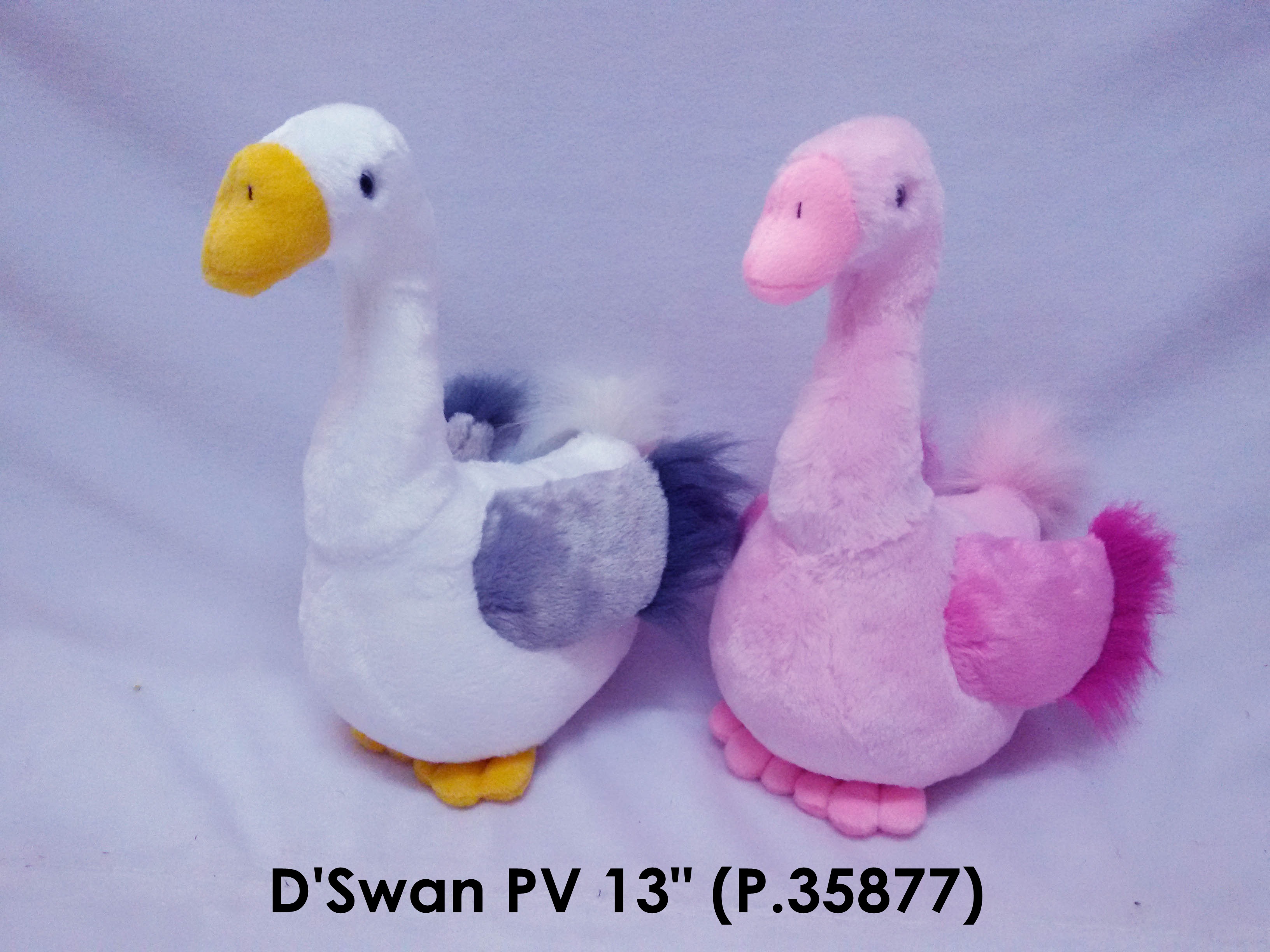D swan PV 13 in P.35877.jpg